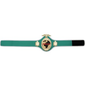 GOLD PRO288 CUSTOM CHAMPIONSHIP BELT  ***BEST SELLER***